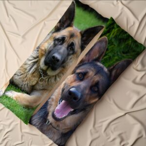 Дакімакура подушка обіймашка Вівчарка собака 40х100 см.