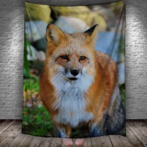 Плед "Лисиця лис тварина 4" 150х200 см