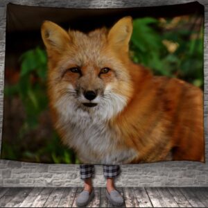 Плед "Лисиця лис тварина 3" 150х200 см