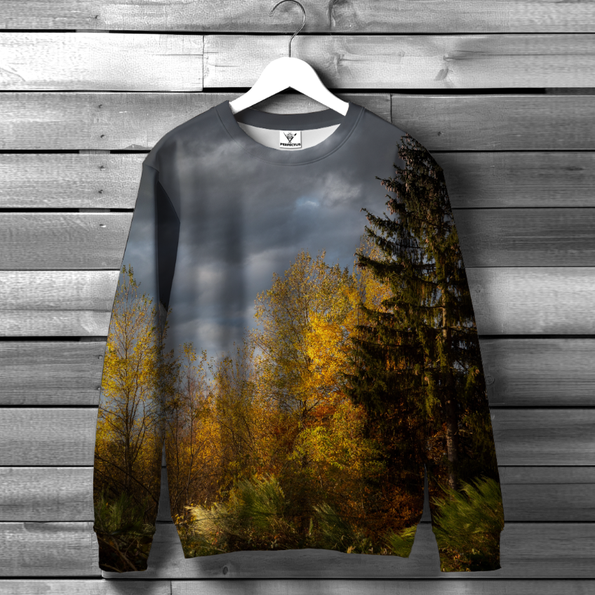 Світшот "З принтом осіннього лісу" ВСІ Розміри Преміум тканина