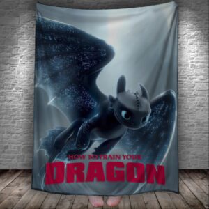 Плед Як приборкати дракона Беззубик мультик 8 150х200 см