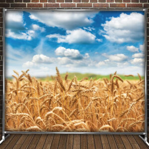 Фотозона банер press wall Пшеничне поле блакитне небо Всі розміри