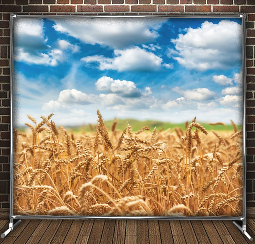 Фотозона банер press wall Пшеничне поле блакитне небо Всі розміри
